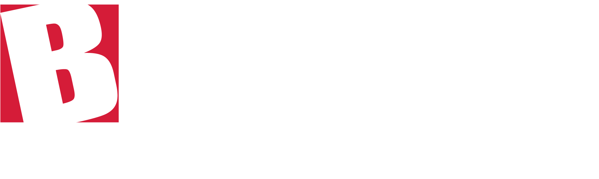 The Bloom Organization